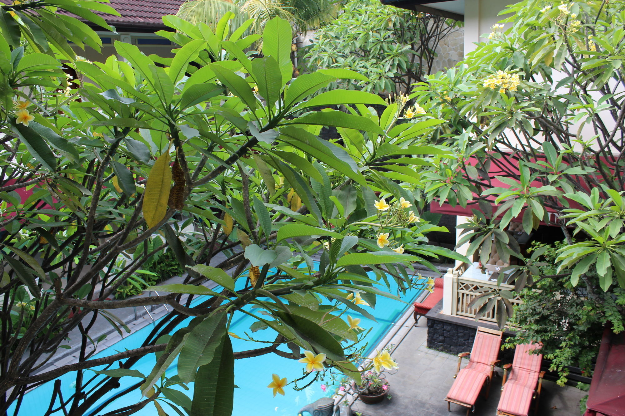 Hotel Indah Palace Jogyakarta Zewnętrze zdjęcie